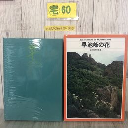3_  早池峰の花 土井信夫 写真集 1980年 昭和55年 誠文堂新光社 函入 岩手県