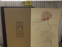 3_  大野俶崇素描集 花 大版額装用 全30葉揃い サイズ約54×39cm 限定680部の内607番 昭和52年10月25日 1977年発行 汚れあり 秩破れあり