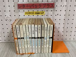 3_  難あり 全13冊揃い 近代世界美術全集 全12巻＋別巻 社会思想社 教養文庫 近代美術 ハンドブック 昭和38~55年 1963年~1980年