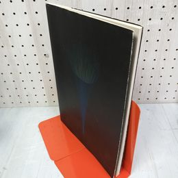 1_　小原流四世家元小原夏樹記念 造形 IKEBANA2000 240061