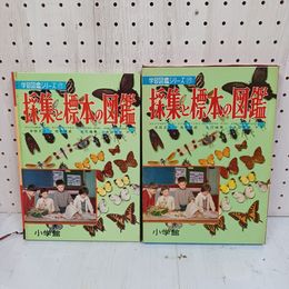 1_　小学館の学習図鑑シリーズ2 昆虫の図鑑 古川晴男・中山周平 共著 昭和42年5月 1967年 ヤケ・シミ有 090001