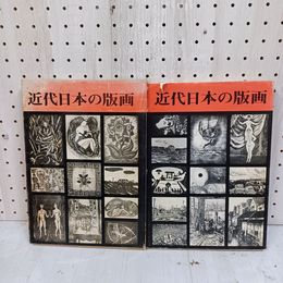 1_　近代日本の版画 小野忠重 シミ・ヤケ・キズあり 函入 120003