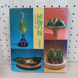1_　植物の貌 いけばな創造の新しい鍵 昭和五十六年三月十日 吉村華泉 石川晴彦 株式会社主婦の友社 カバー傷み有 260079