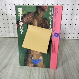 1_　電子とマリア 河野信子・十川治江 プラネタリーブックス14 240023