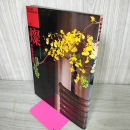 1_　中林孝作品集 燦 TAKASHI NAKABAYASHI-SAN 小沢忠恭写真 012367