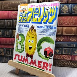 8_    週刊ビッグコミックスピリッツ 1990年8月6日号 No.34 280056