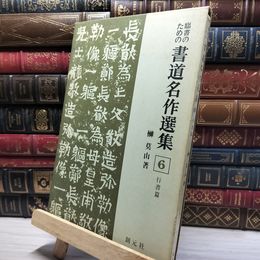 8_    臨書のための書道名作選集6 行書篇 創元社 012128