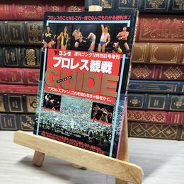 8_    ’91 ゴング プロレス観戦 パーフェクトガイド 週刊ゴング 008210