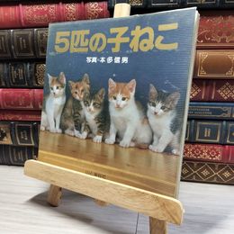 8_    5匹の子ねこ 本多信男 山と渓谷社 本 写真集  011358