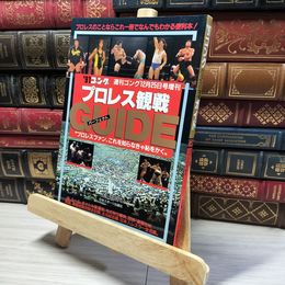 8_    91ゴング プロレス観戦パーフェクトガイド 週刊ゴング12月25日増刊 017848