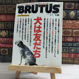8_    BRUTUS ブルータス　No.359　1996/3/1　シミ、焼け、擦れあり 000153