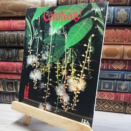 8_    Coralway 2002年新北風号「南大東島の不思議探検」 021487