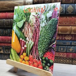 8_    Coralway 2006年9・10月号「沖縄育ちの元気野菜」 020713