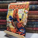 8_    DVD&ビデオでーた 2002年11月号 スパイダーマン 別冊付録付 018130