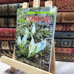 8_    尾瀬の花 花紀行1 布施正直 文化出版局 020182