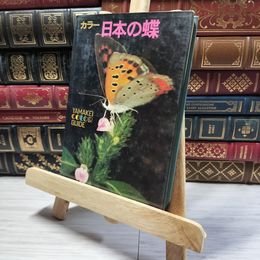 8_    カラー 日本の蝶　山渓カラーガイド  押印有  00819