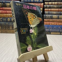 8_    カラー　日本の蝶　山渓カラーガイド42