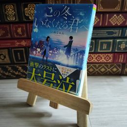 8_    この冬、いなくなる君へ 長い嘘が終わる日に いぬじゅん 02228