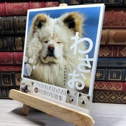 8_    ブサかわ秋田犬 わさお (セレクトBOOKS) 主婦の友社 016979
