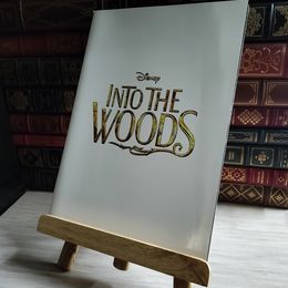 8_    映画 パンフレット INTO THE WOODS  イントゥ ザウッズ  07409