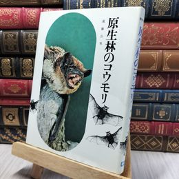 8_    原生林のコウモリ 140489