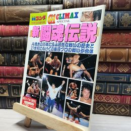 8_    週刊ゴング 1995年 10月13日増刊号 019918