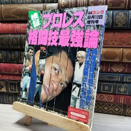 8_    週刊ゴング 1995年 6月12日 増刊号 018468