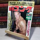 8_    週刊ゴング No.531 9月29日号 1994年 平成6年 002149