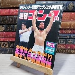 8_    週刊ゴング No.540 12月1日号 1994年 平成6年 002148