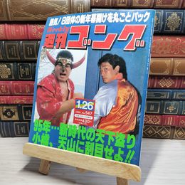 8_    週刊ゴング No.547 1月26日号 1995年 平成7年 002157