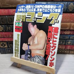 8_    週刊ゴング No.548 2月2日号 1995年 平成7年 002159