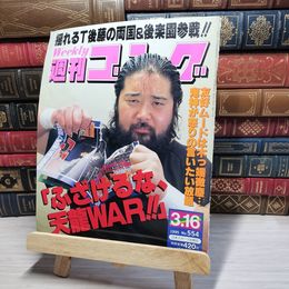 8_    週刊ゴング No.554 3月9日号 1995年 平成7年 002160