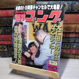 8_    週刊ゴング No.555 3月23日号 1995年 平成7年 002153
