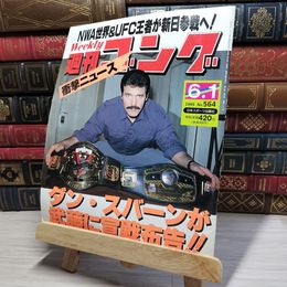 8_    週刊ゴング No.564 6月1日号 1995年 平成7年 002172