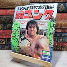 8_    週刊ゴング No.565 6月8日号 1995年 平成7年 002183