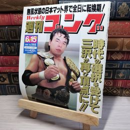 8_    週刊ゴング No.566 6月15日号 1995年 平成7年 002185