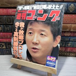 8_    週刊ゴング No.567 6月22日号 1995年 平成7年 002184