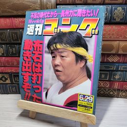 8_    週刊ゴング No.568 6月29日号 1995年 平成7年 002186