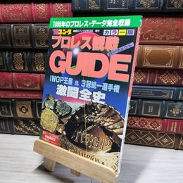 8_    週刊ゴング2月13日増刊 プロレス観戦パーフェクトガイド カラー版   018777