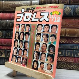 8_    週刊プロレス 1991年 11月12日 No.462 019913