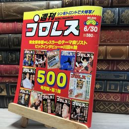 8_    週刊プロレス 1992年 6月30日 No.500 019911