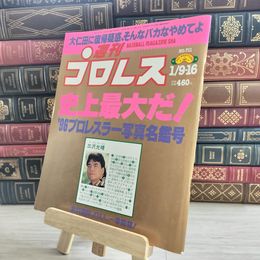 8_    週刊プロレス 1996年 No.711 1月9.16日号 000091