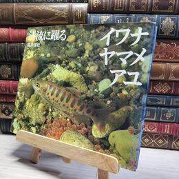 8_    清流に躍る イワナ ヤマメ アユ 桜井淳史 写真集  011325