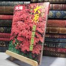 8_    太陽 臨時増刊 京の里 大原   008273