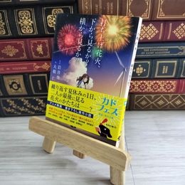 8_    打ち上げ花火、下から見るか?横から見るか? 02225