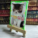 8_    天国に行った看板ねこ　なな 04210