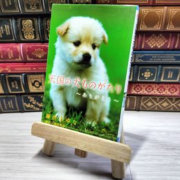 8_    天国の犬ものがたり~ありがとう~ (小学館ジュニア文庫 ほ 1-5) 藤咲あゆな、堀田敦子 002915