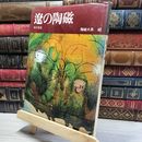 8_    陶磁大系 40 遼の陶磁 017117