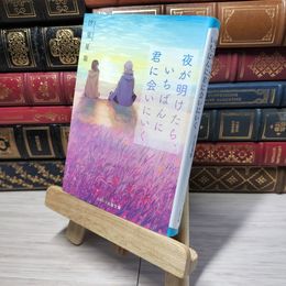 8_    夜が明けたら、いちばんに君に会いにいく (スターツ出版文庫) 汐見夏衛 010958