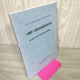 1_　岩手県文化振興事業団埋蔵文化財調査報告書第183集 八幡野Ⅱ遺跡発掘調査報告書 280046